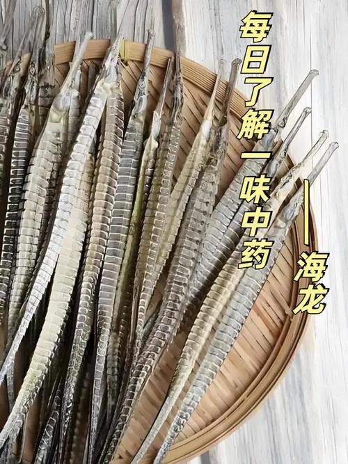 如何區分海龍魚和龍魚？，如何區分海龍魚和龍魚