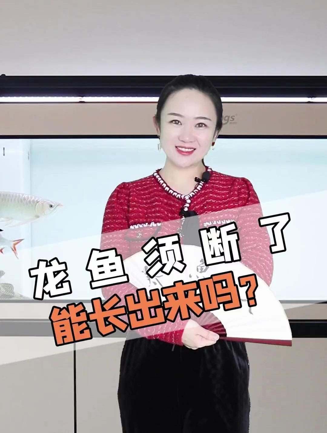 龍魚胡須掉了會自己長回來嗎？