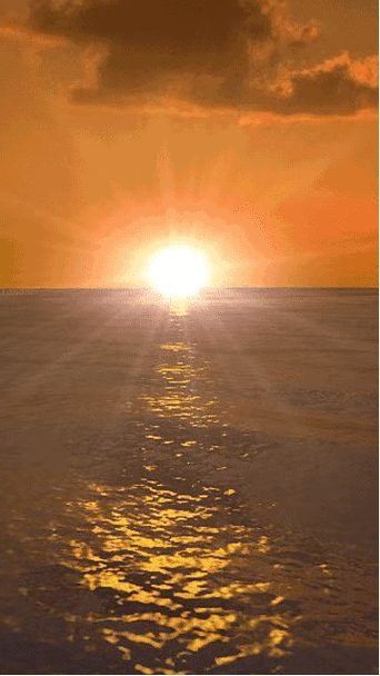 有哪些手機動態壁紙推薦，手機動態壁紙推薦