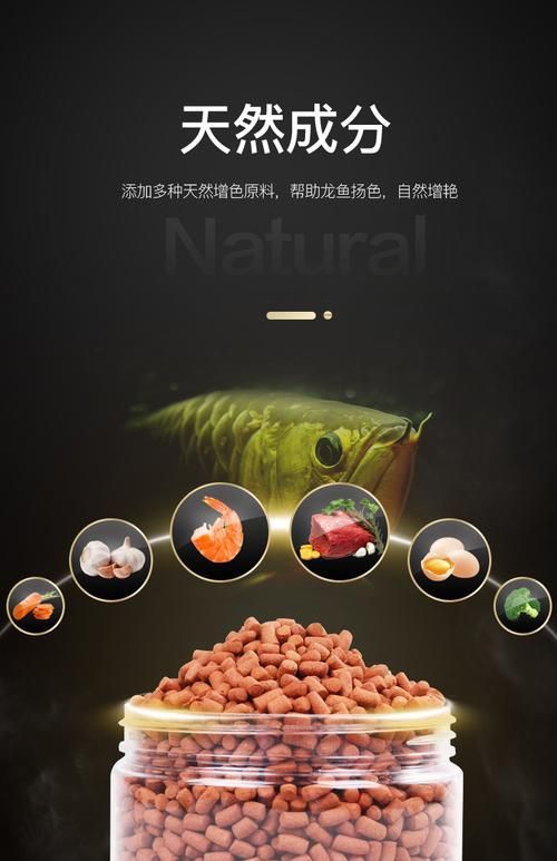 有哪些品牌飼料適合龍魚？，哪些品牌飼料適合龍魚？