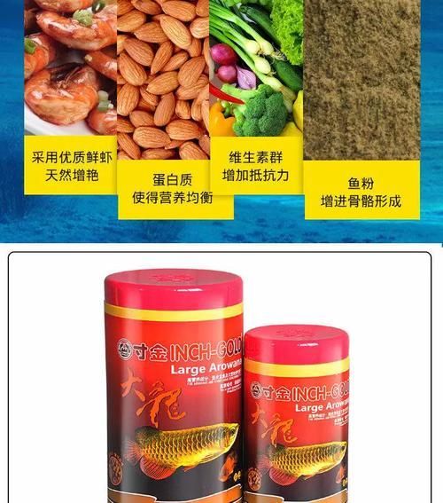 有哪些品牌飼料適合龍魚？，哪些品牌飼料適合龍魚？