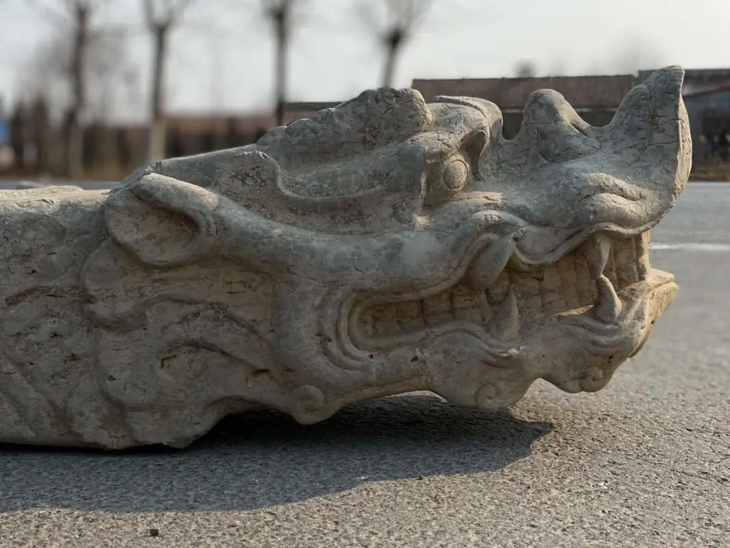 如何辨別閩南土龍的真?zhèn)危绾伪鎰e閩南土龍的真?zhèn)危? title=