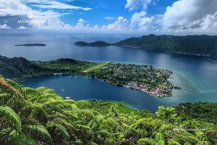 秘魯山豬鼠多久繁殖一次？，關(guān)于秘魯山豬鼠的繁殖