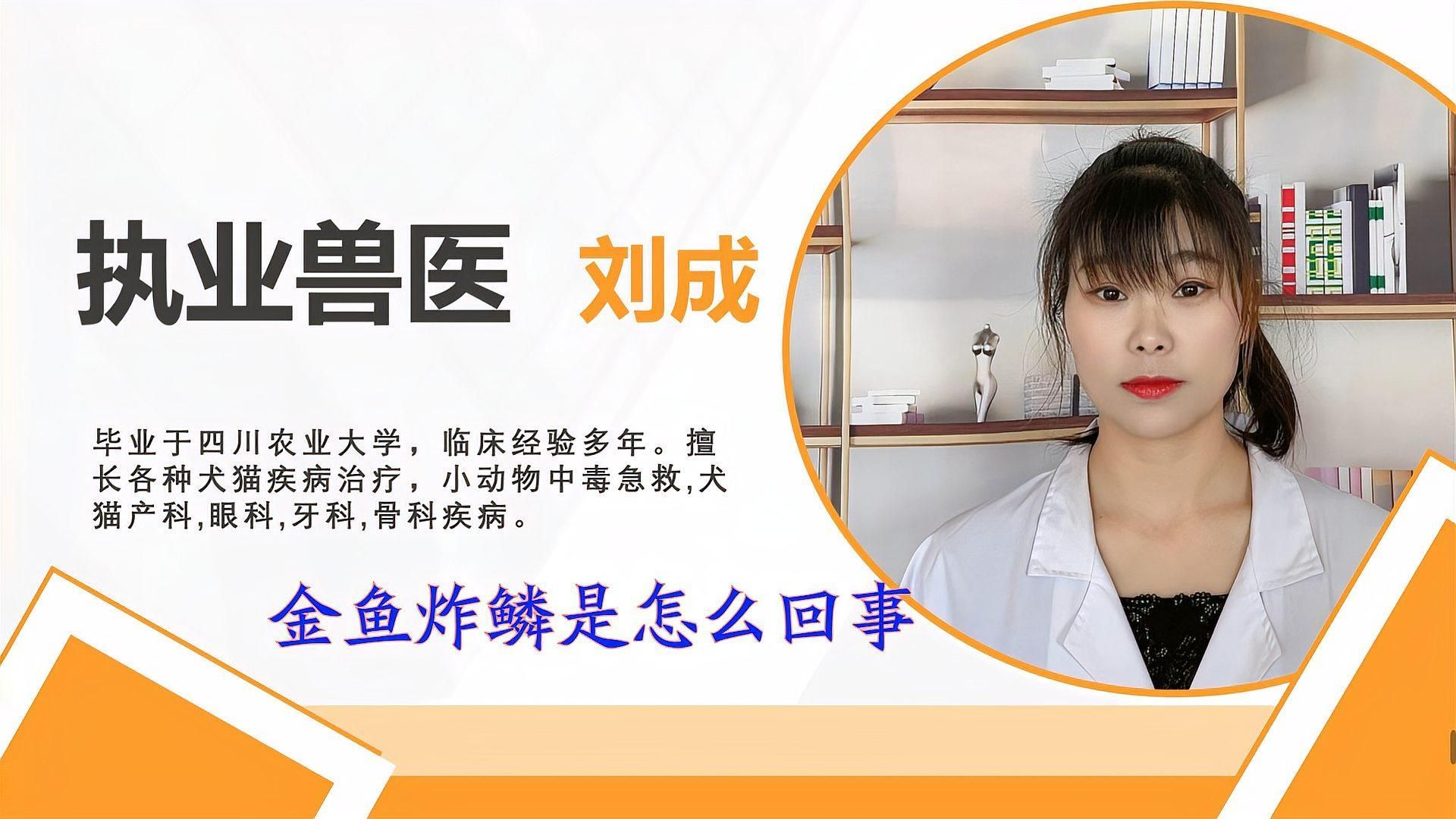 如何判斷金魚是否患有炸鱗病