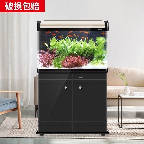 龍魚缸品牌推薦大全，龍魚缸品牌及牌子推薦