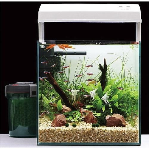 還有哪些世界頂級魚缸品牌，世界頂級水生生物健康品牌
