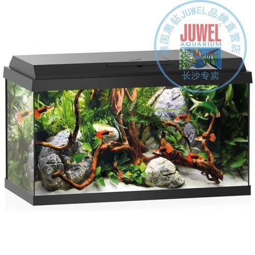 還有哪些世界頂級(jí)魚缸品牌，世界頂級(jí)水生生物健康品牌
