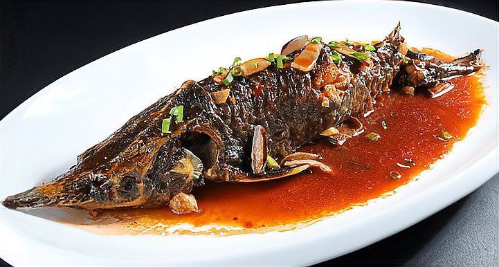 人工養(yǎng)殖龍魚有哪些常見的藥物殘留？，人工養(yǎng)殖人工養(yǎng)殖龍魚常見的藥物殘留