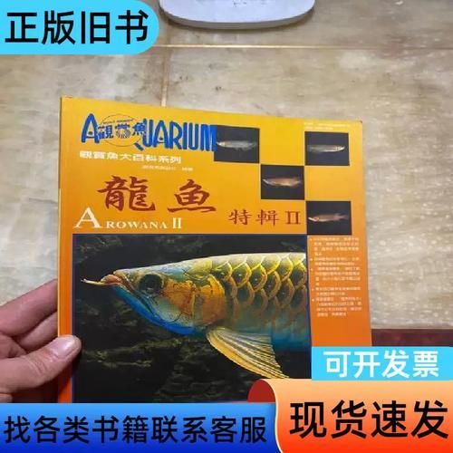 弋江龍魚有哪些品種？，十款熱門龍魚大揭秘，紅龍、金龍等品種全解析