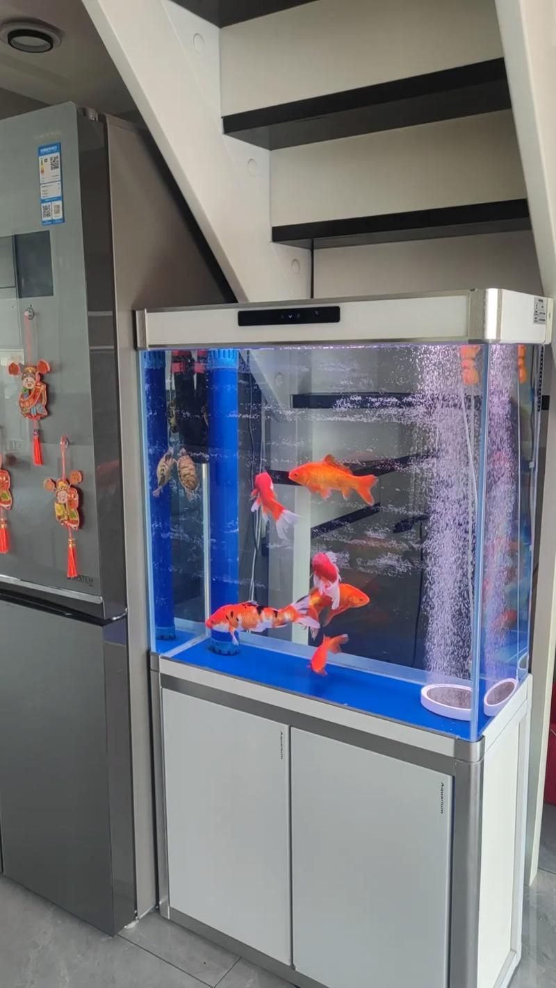 給我推薦一些適合養(yǎng)大錦鯉的魚缸，養(yǎng)大錦鯉的魚缸選擇