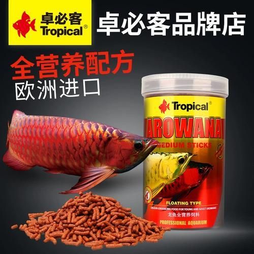 紅龍魚蒙眼最簡單三個辦法，農情萬家，觀賞魚蒙眼怎么辦