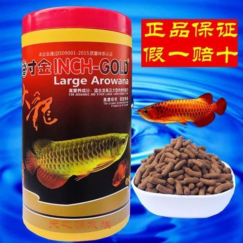 紅龍魚蒙眼最簡單三個辦法，農情萬家，觀賞魚蒙眼怎么辦