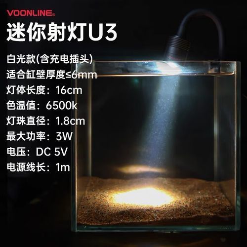 60厘米龍魚魚缸需要哪些設(shè)備，60厘米龍魚魚缸加熱棒