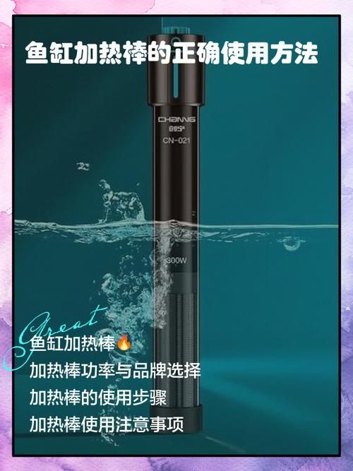 60厘米龍魚魚缸需要哪些設(shè)備，60厘米龍魚魚缸加熱棒