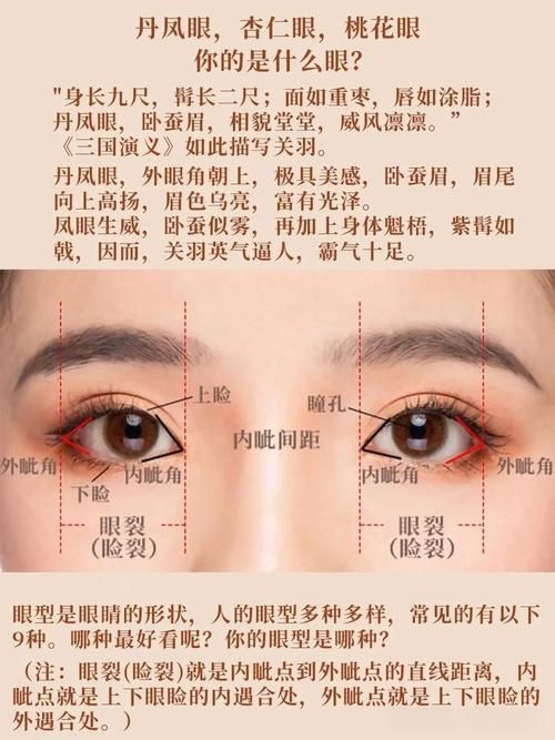 如何區(qū)分外蒙眼和內(nèi)蒙眼，“內(nèi)蒙眼”并非標(biāo)準(zhǔn)醫(yī)學(xué)術(shù)語(yǔ)