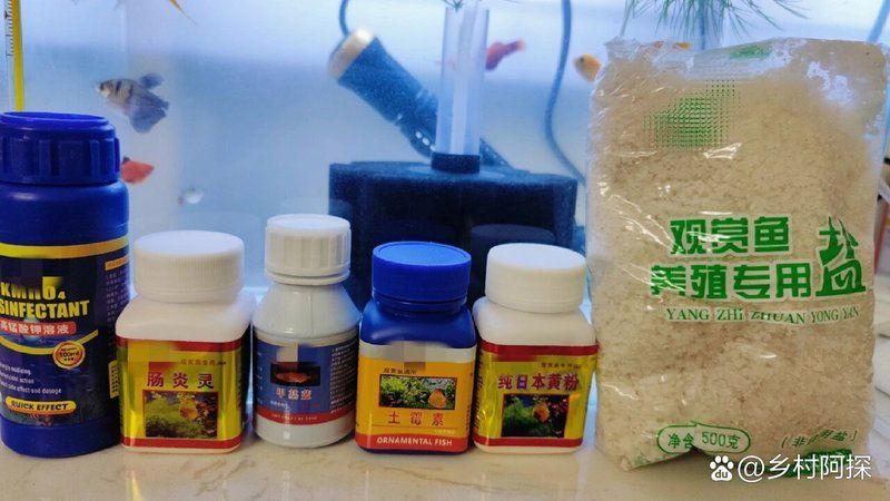 有哪些藥物可以有效治療爛鰭病，哪種藥物可以治療爛鰭病