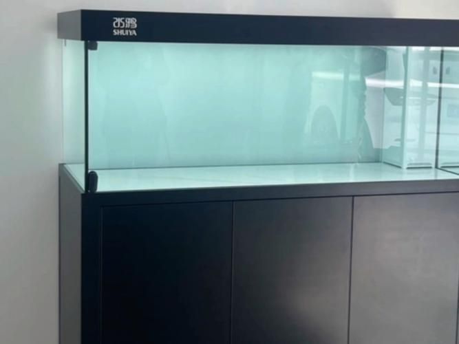 有哪些品牌缸適合養龍魚？，適合養龍魚的主流品牌及推薦型號