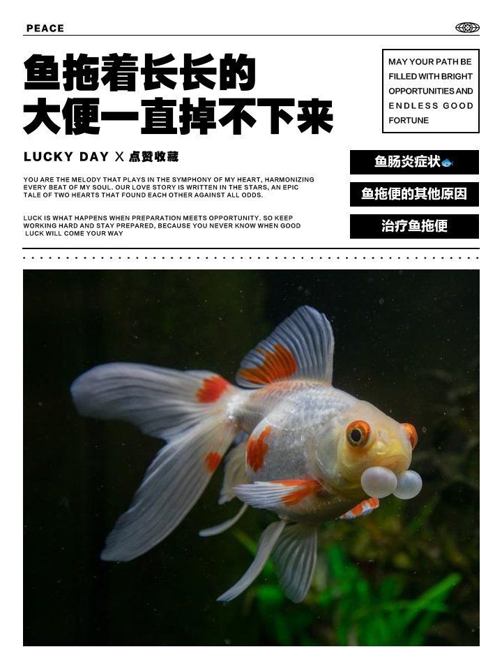 龍魚拖便如何治療，治療龍魚拖便的方法包括以下幾個方面