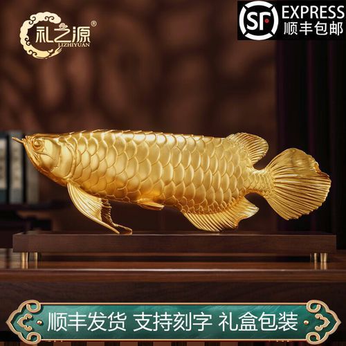 招財金龍魚的價格是多少，招財金龍魚價格是多少招財金龍魚的最佳擺放位置是多少