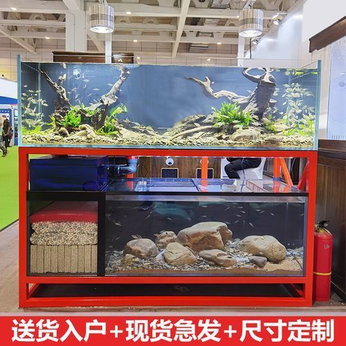 龍魚缸最佳搭配是什么品牌？，龍魚缸品牌有哪些？