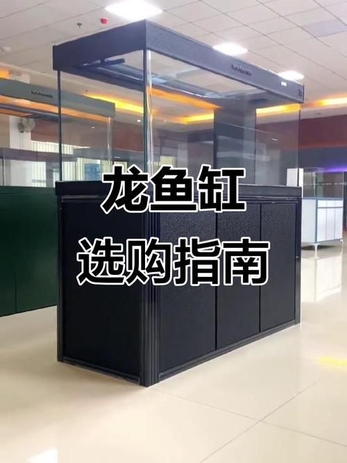 龍魚缸最佳搭配是什么品牌？，龍魚缸品牌有哪些？