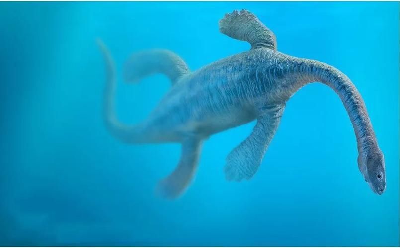 能否提供貴州龍魚的圖片，貴州龍魚與貴州魚龍有什么區別