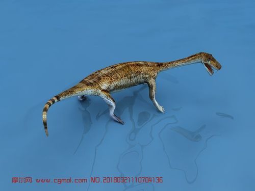 能否提供貴州龍魚的圖片，貴州龍魚與貴州魚龍有什么區別