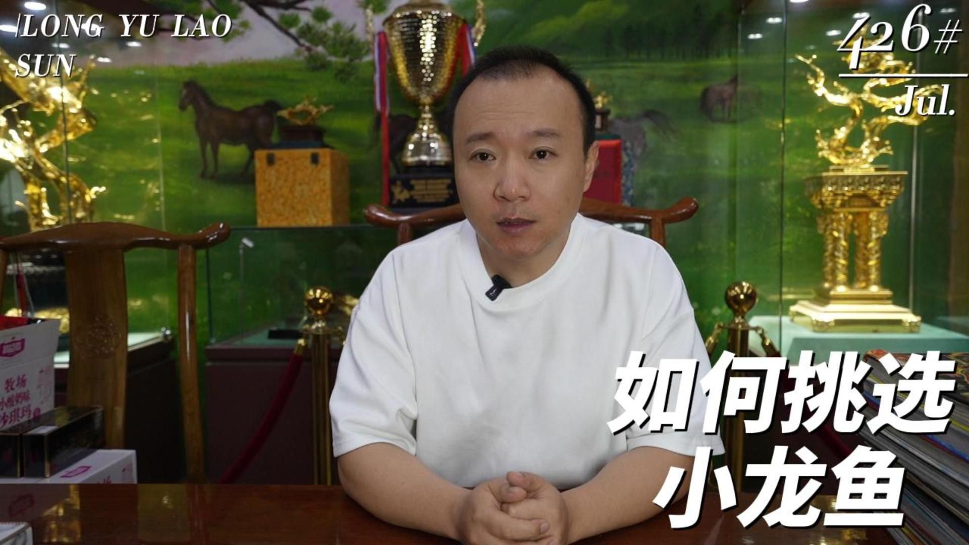 如何挑選龍魚幼苗？，如何挑選龍魚幼苗