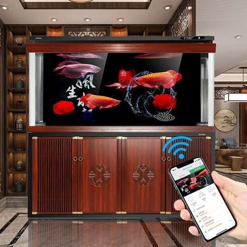 十大龍魚魚缸品牌中哪個性價比最高？，十大龍魚魚缸品牌中性價比最高的龍魚缸品牌森森1.5米以上型號對比表