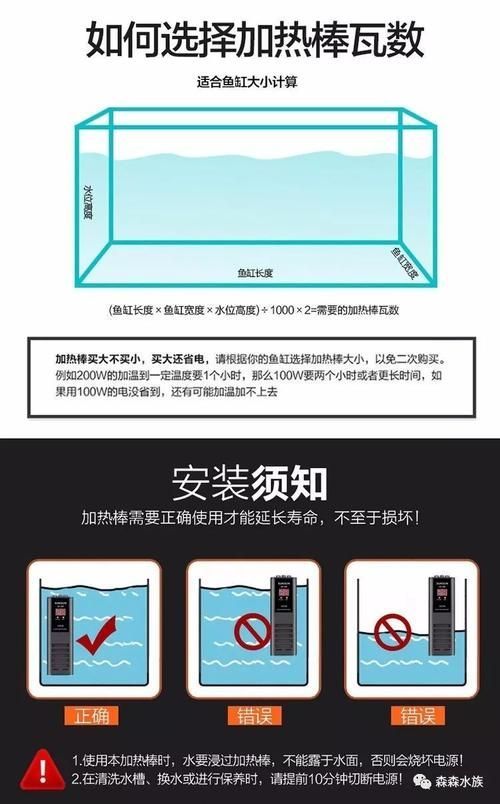 如何降低依蘭龍魚的飼養成本，如何降低依蘭龍魚飼養成本
