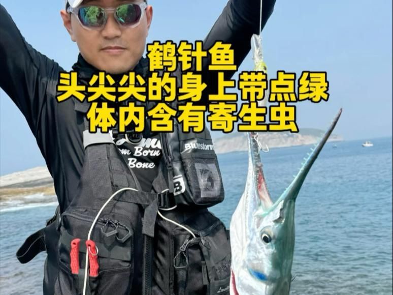 哪些魚種容易攜帶寄生蟲，哪些魚種容易攜帶寄生蟲食用時需格外注意以下風險分析
