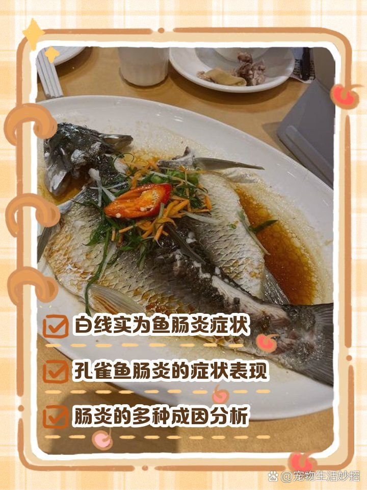 魚腸炎的癥狀有哪些，魚腸炎的癥狀有哪些，