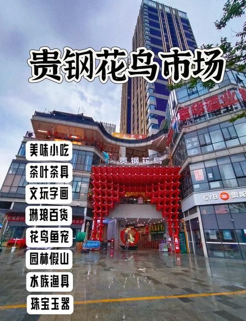 哪里可以購買到貴陽的龍魚？，如何購買一條健康的貴陽龍魚