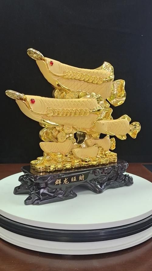 如何判斷龍魚是否吸走陽氣？，關于龍魚吸走陽氣的詳解