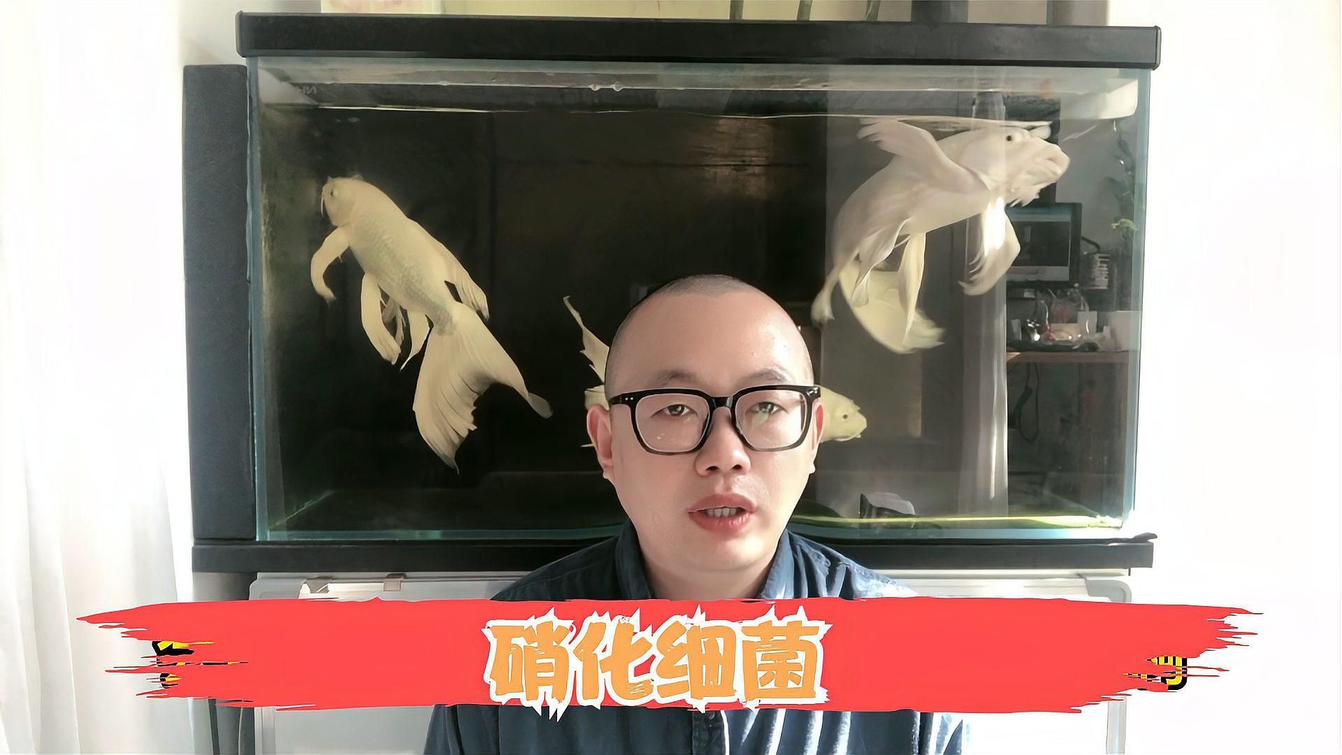 有哪些方法可以加速硝化系統的建立，如何加速硝化系統建立