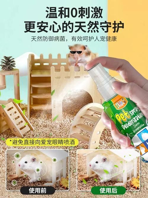 如何預防龍貓細菌傳播，如何科學預防龍貓細菌傳播