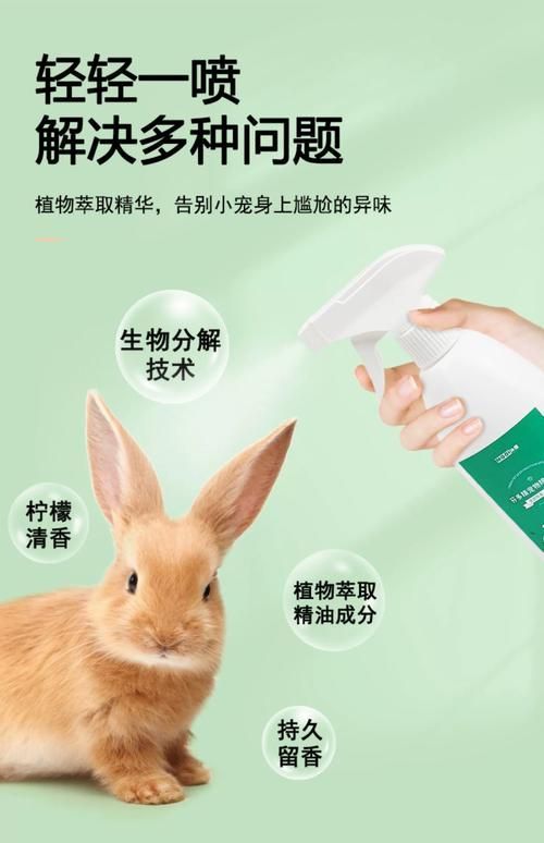 如何預防龍貓細菌傳播，如何科學預防龍貓細菌傳播
