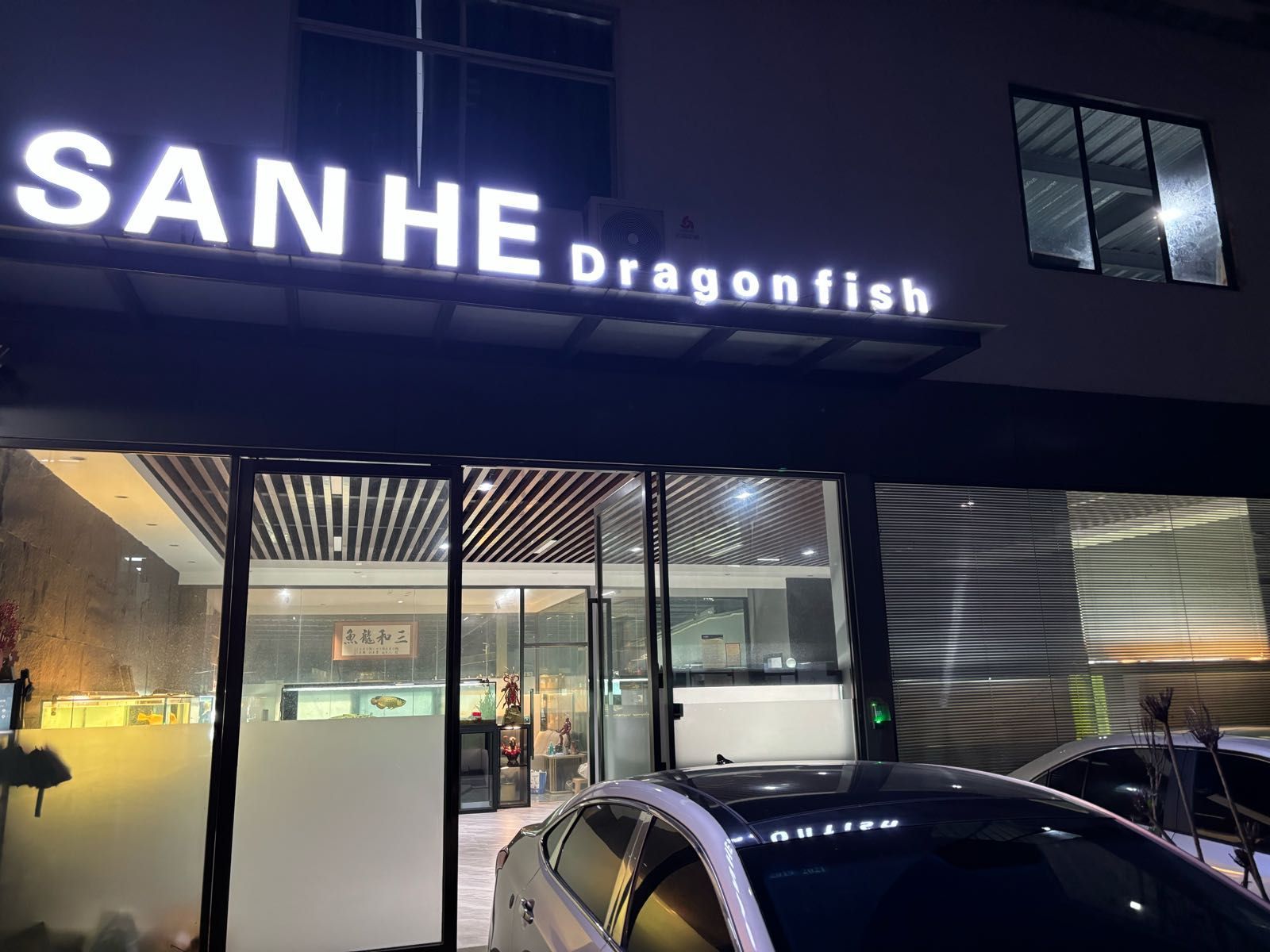 深圳還有哪些地方可以購買龍魚？，深圳哪里可以買龍魚