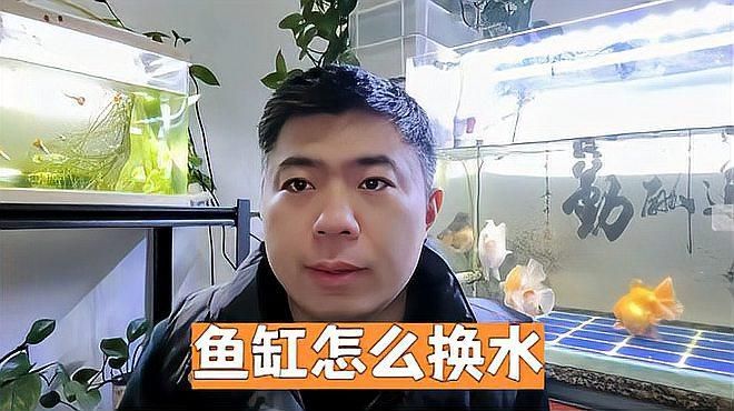 如何預防觀賞魚炸鱗病，如何預防觀賞魚炸腹病