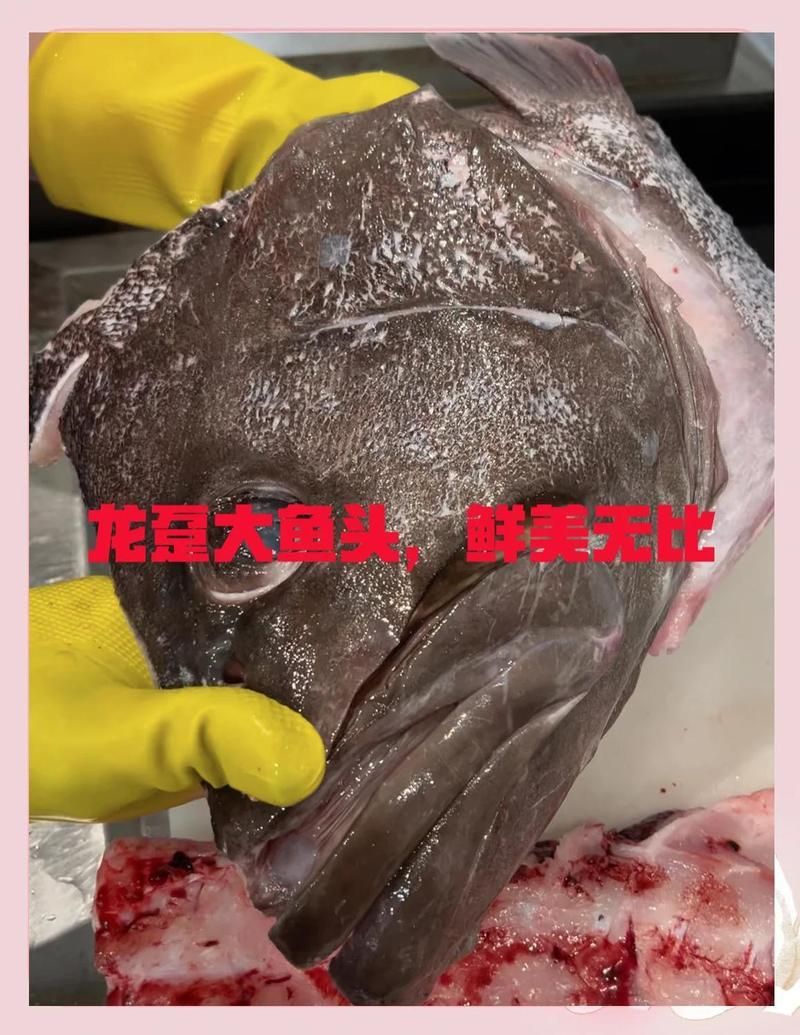 龍頭魚有哪些營(yíng)養(yǎng)價(jià)值，龍頭魚有哪些營(yíng)養(yǎng)價(jià)值龍頭魚有哪些營(yíng)養(yǎng)價(jià)值