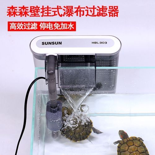 彩鰈和森森哪個更適合新手，彩鰈和“森森”哪個更適合新手用戶評價