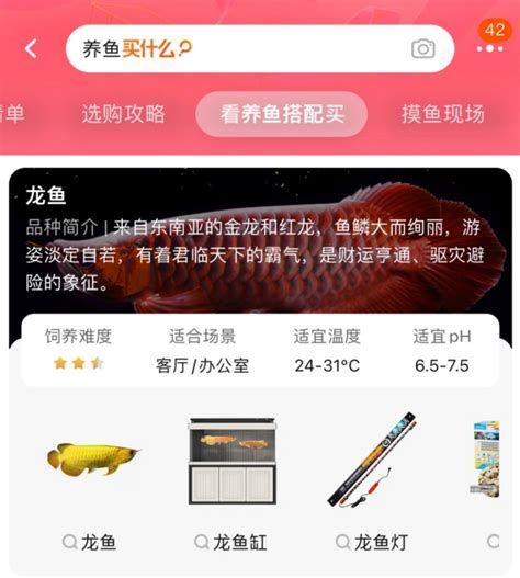 龍魚之巔論壇的用戶群體是誰？