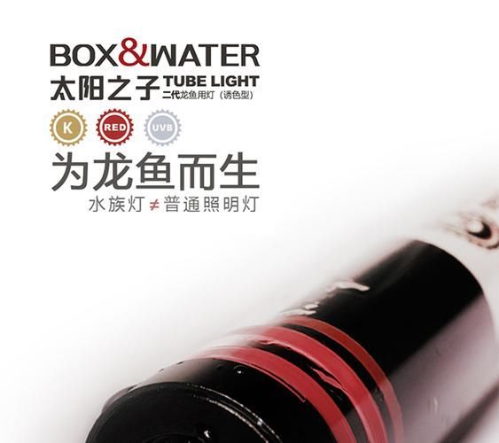 祥龍魚場提供哪些品牌的龍魚燈？，祥龍魚場提供哪些品牌的龍魚燈品牌的龍魚燈品牌多樣