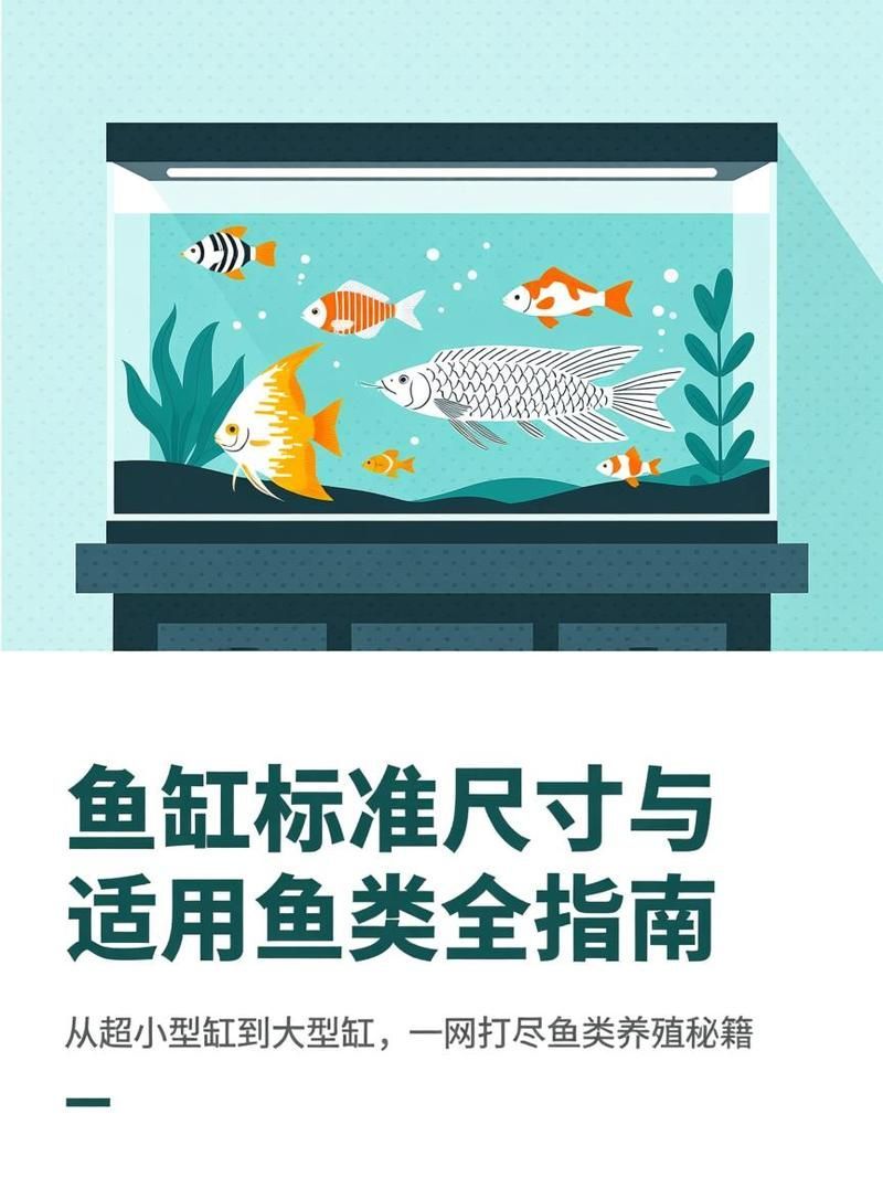 如何判斷魚缸尺寸是否合適？，判斷魚缸尺寸是否合適，|新手必看選購指南