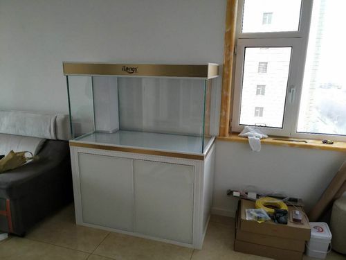 愛龍仕魚缸哪個型號最受歡迎，愛龍仕魚缸哪個型號最受歡迎愛龍仕魚缸哪個型號最受歡迎