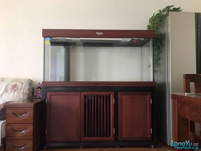 愛龍仕魚缸哪個型號最受歡迎，愛龍仕魚缸哪個型號最受歡迎愛龍仕魚缸哪個型號最受歡迎