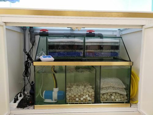 愛龍仕魚缸哪個型號最受歡迎，愛龍仕魚缸哪個型號最受歡迎愛龍仕魚缸哪個型號最受歡迎