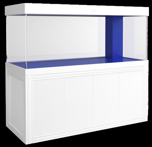 愛龍仕魚缸哪個型號最受歡迎，愛龍仕魚缸哪個型號最受歡迎愛龍仕魚缸哪個型號最受歡迎