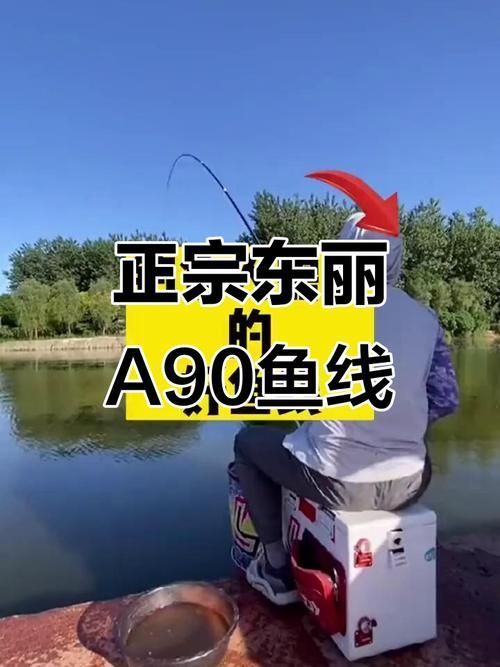 東麗龍魚(yú)線有哪些型號(hào)