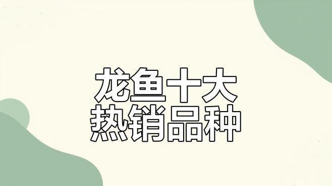 推薦一些適合初學者的龍魚品種，新手入門養龍魚的建議